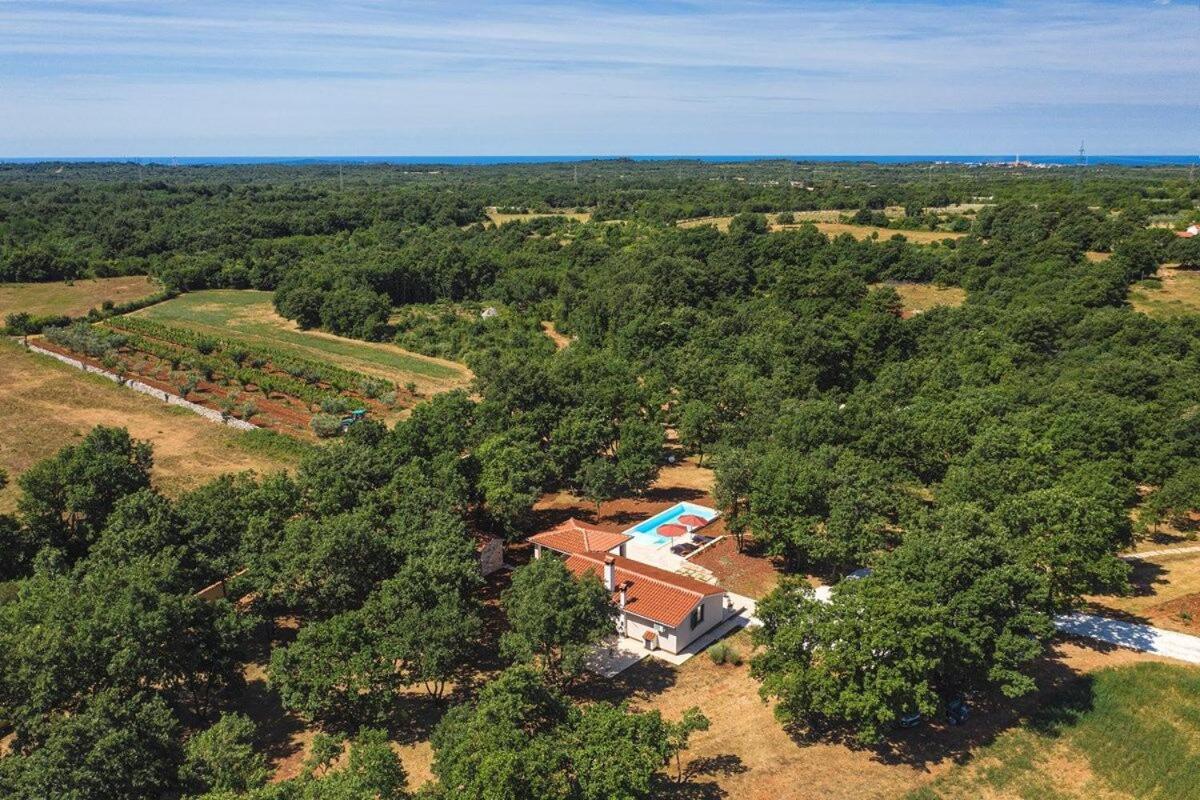 Villa Martinetinka ボドニャン エクステリア 写真
