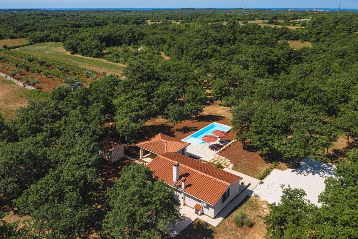Villa Martinetinka ボドニャン エクステリア 写真
