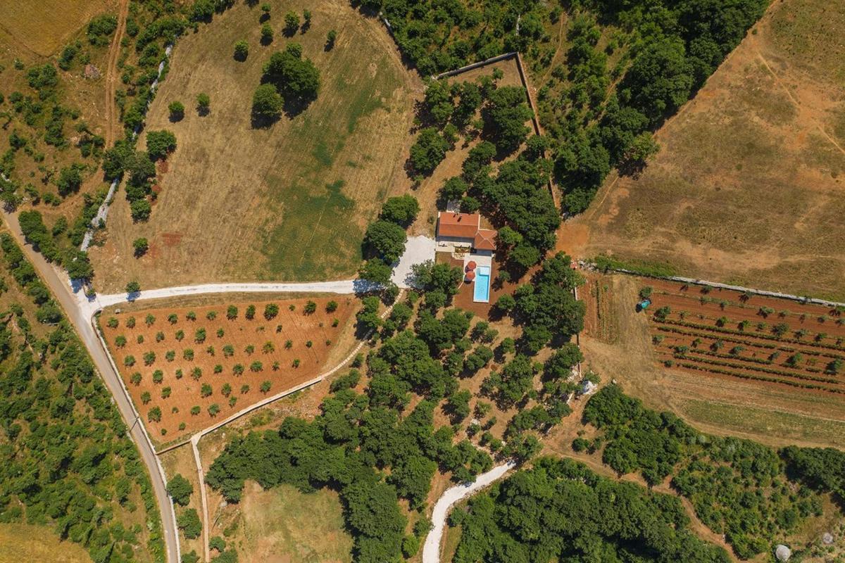 Villa Martinetinka ボドニャン エクステリア 写真